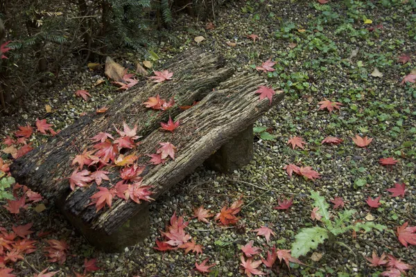 Panchina di legno rustica coperta di foglie d'acero rosse autunnali