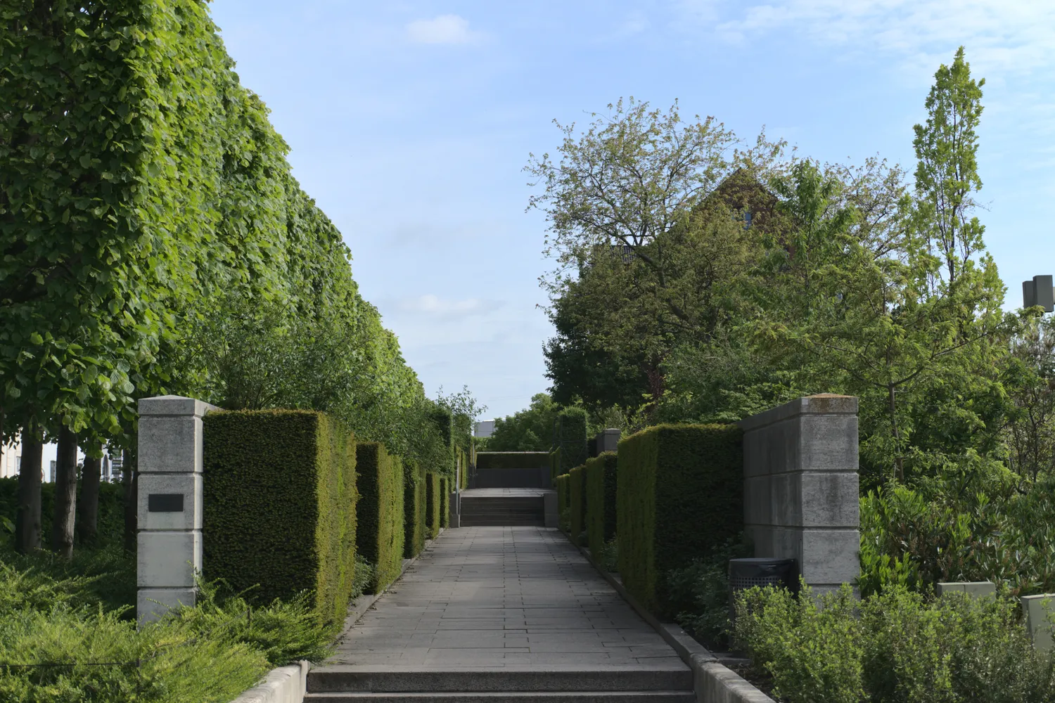 Vialetto pavimentato tra siepi verdi geometriche in un parco urbano