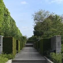 Vialetto pavimentato tra siepi verdi geometriche in un parco urbano