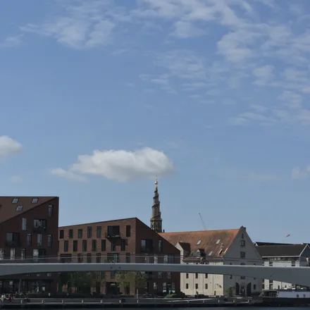 Skyline di Copenaghen con la guglia a spirale della chiesa del Redentore e un ponte