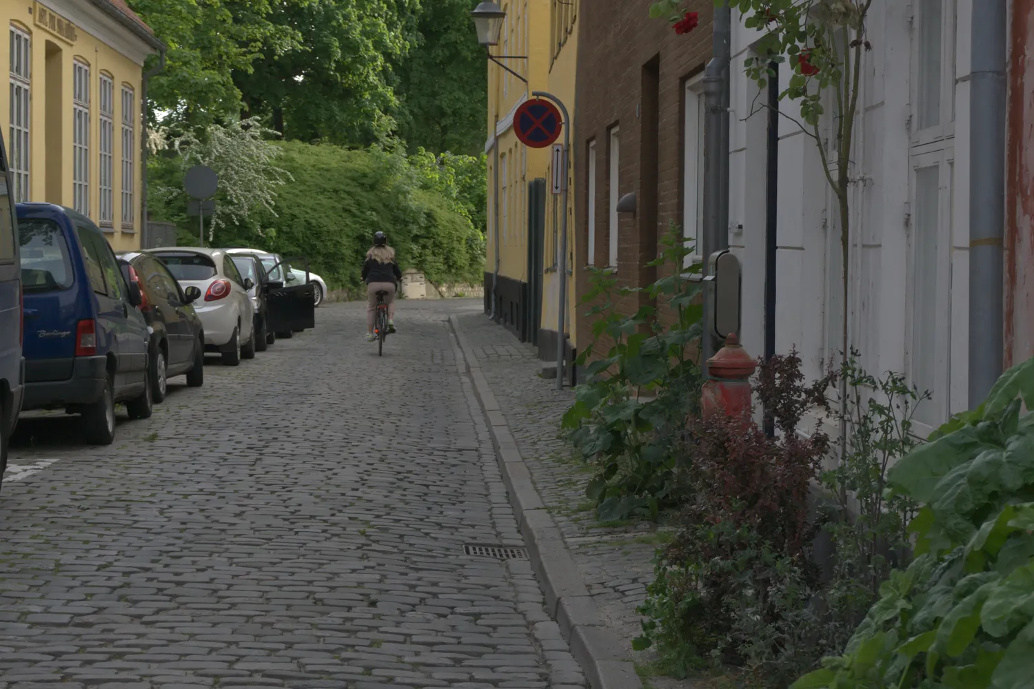 Ciclista in una stradina acciottolata di Christianshavn fiancheggiata da case colorate e auto parcheggiate