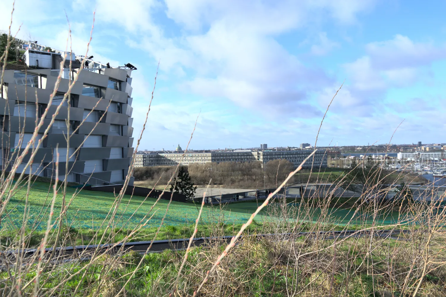 Edificio residenziale moderno e città visti tra rami spogli