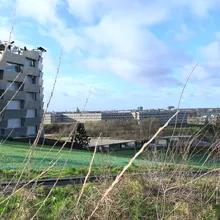 Edificio residenziale moderno e città visti tra rami spogli