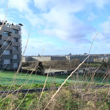 Edificio residenziale moderno e città visti tra rami spogli