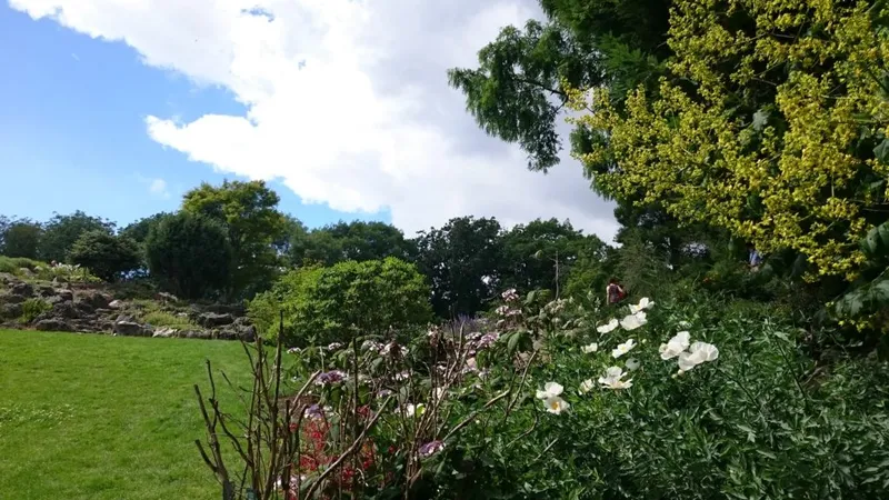 Rocce e cespugli fioriti nel Giardino Botanico di Copenaghen