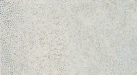 Dettaglio dell'opera No. F di Yayoi Kusama a rete bianca puntinata
