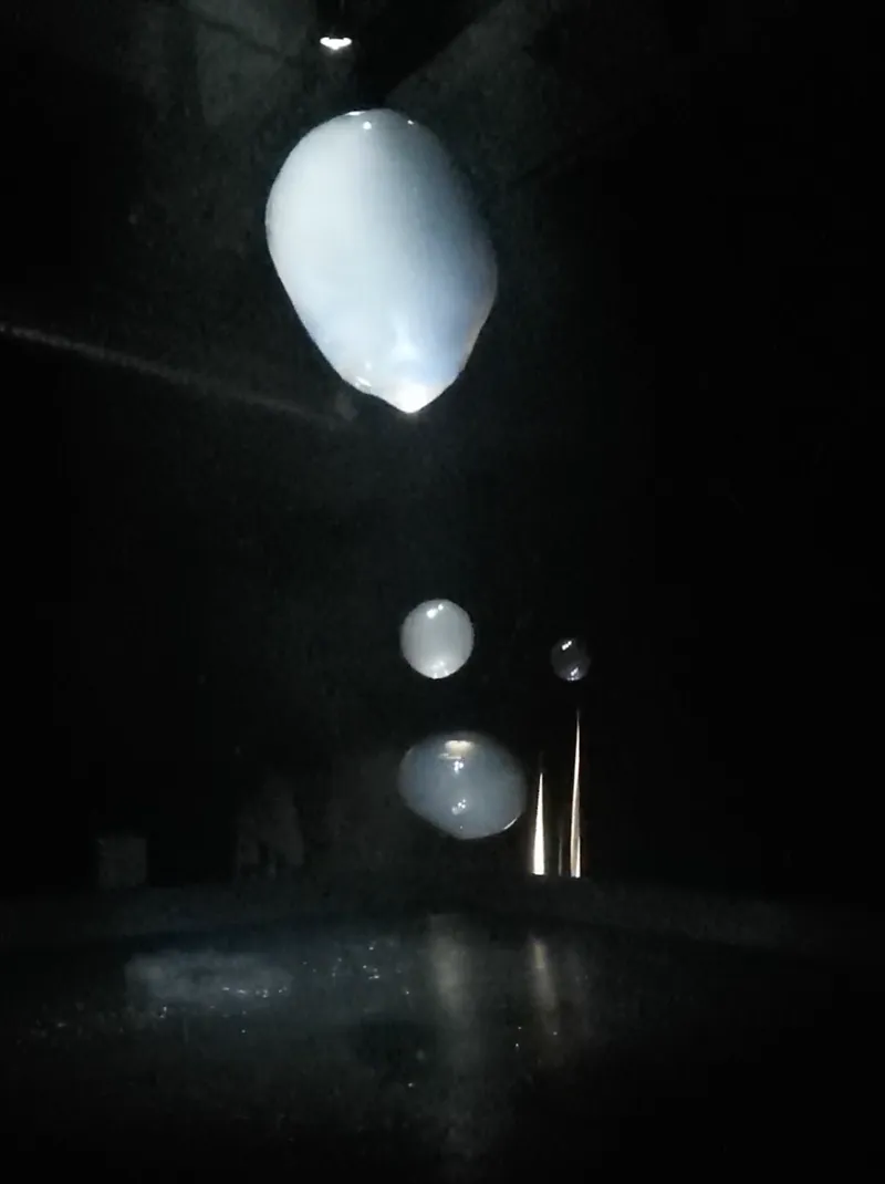 baloons