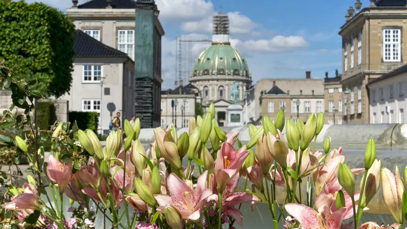 Gigli rosa con la cupola della Marmorkirken sullo sfondo