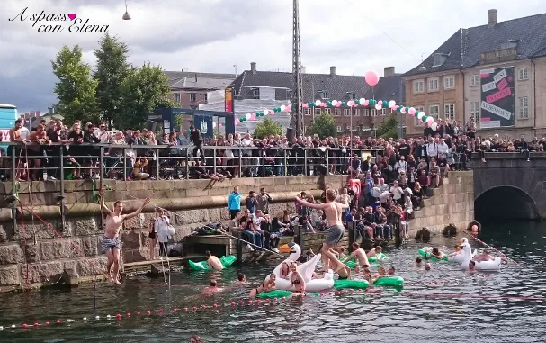 Crowd along a canal watching people swim in Copenhagen's waters