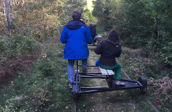 Persone pedalano un carrello su vecchi binari ferroviari nel verde