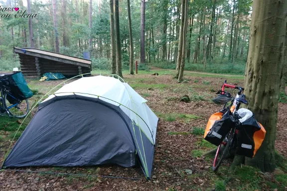 Tenda da campeggio e biciclette tra gli alberi accanto a un riparo di legno