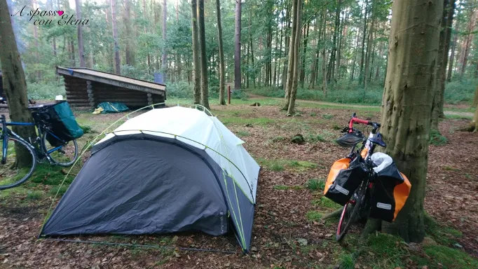 Tenda da campeggio e biciclette tra gli alberi accanto a un riparo di legno