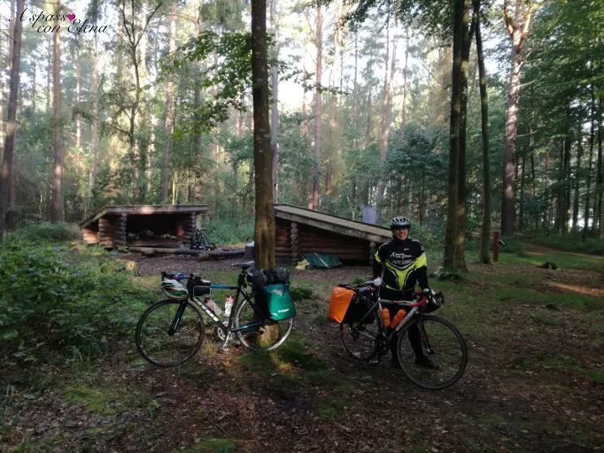 Due biciclette da viaggio davanti a un riparo di legno nel bosco