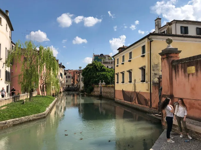Narrow Treviso canal lined with historic houses and weeping willows