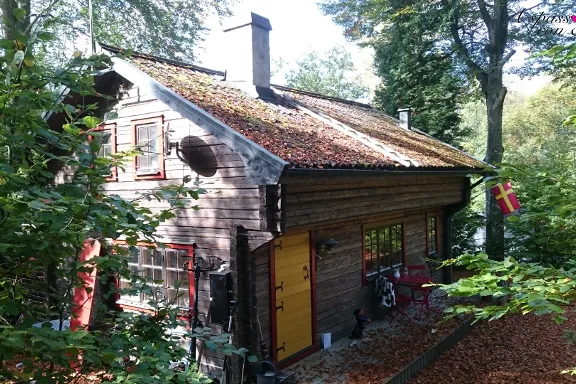 Casetta in legno con tetto erboso nel bosco autunnale a Tydinge, Svezia