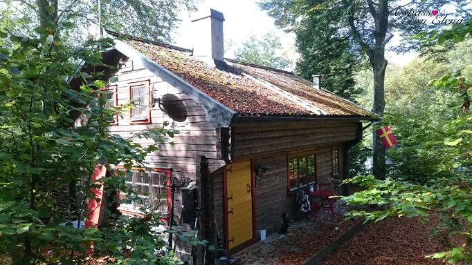 Casetta in legno con tetto erboso nel bosco autunnale a Tydinge, Svezia