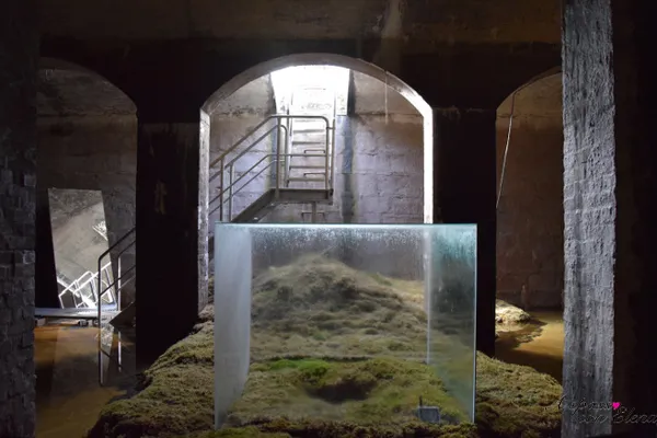 Teca di vetro su muschio con cascata d'acqua, installazione di Hiroshi Sambuichi alle Cisterne
