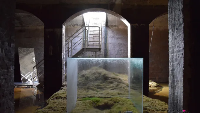 Teca di vetro su muschio con cascata d'acqua, installazione di Hiroshi Sambuichi alle Cisterne