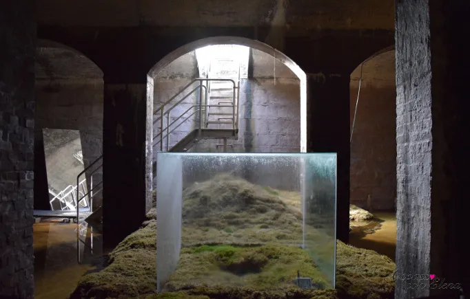 Teca di vetro su muschio con cascata d'acqua, installazione di Hiroshi Sambuichi alle Cisterne