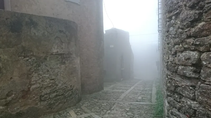 erice