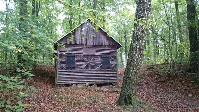 Vecchia capanna di tronchi in un bosco coperto di foglie autunnali