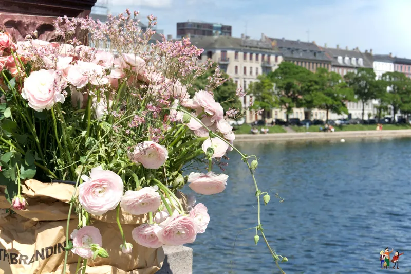 Mazzo di rose rosa sul ponte Dronning Louises Bro affacciato sui laghi