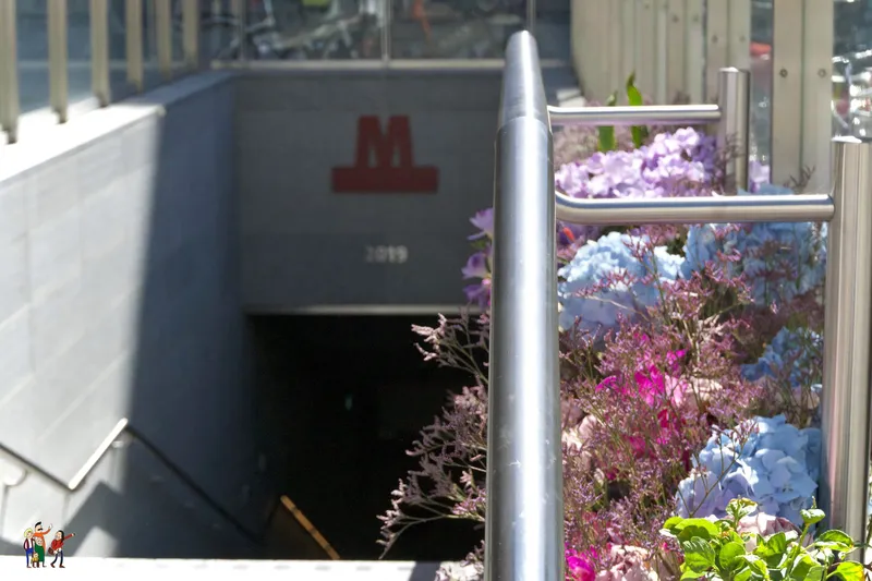 Ingresso di una nuova stazione della metro con la M rossa, fiancheggiato da ortensie