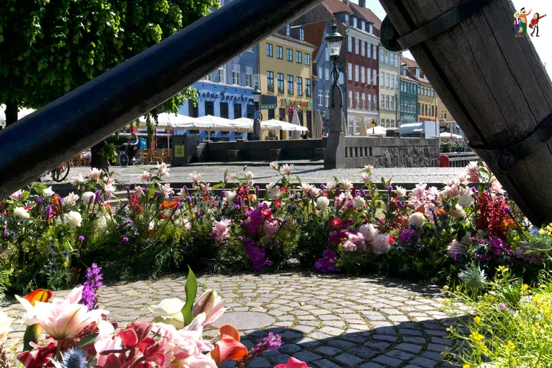 Fiori colorati incorniciano le case colorate di Nyhavn a Copenaghen
