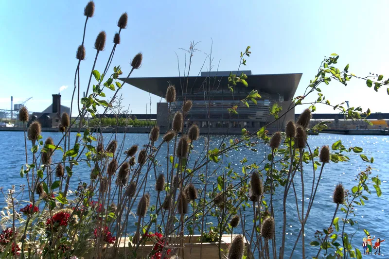 Teatro dell'Opera di Copenaghen sull'acqua oltre piante e fiori