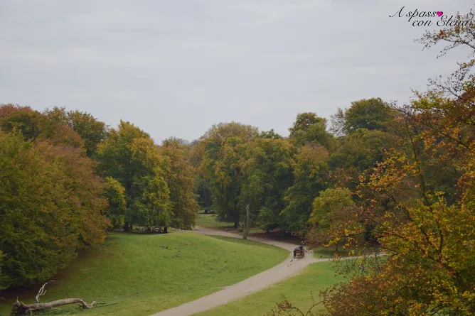 Path through the autumn Dyrehaven park in Klampenborg