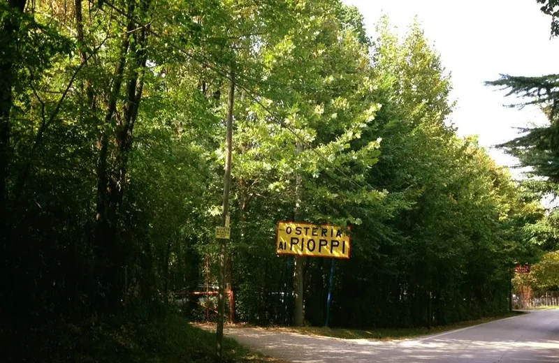 Yellow "Osteria ai Pioppi" sign along a tree-lined woodland road