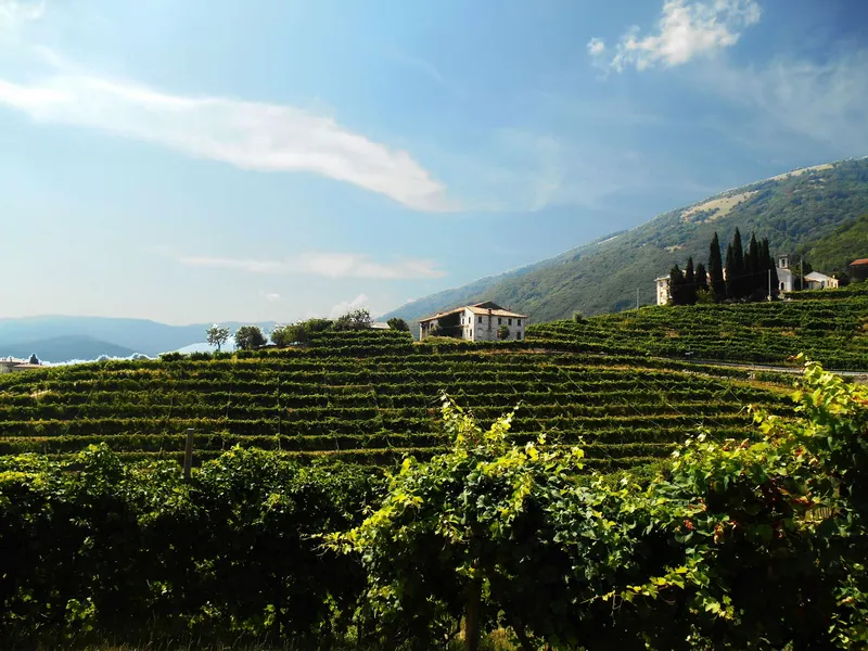 Prosecco hills between Valdobbiadene and Conegliano with vineyards, farmhouse and cypresses