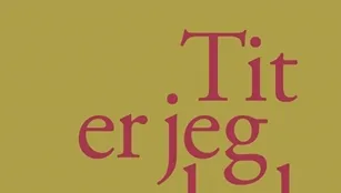 Copertina di libro su sfondo ocra con testo rosso e verde