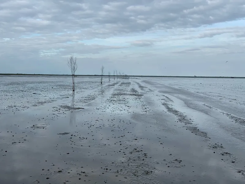 Bassa marea nel Vadehavet tra l'isola di Mandø e la terraferma